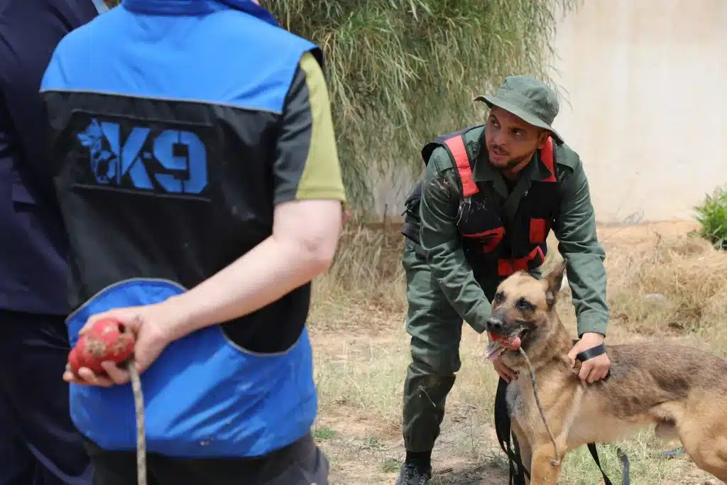 مصلحة الجمارك الليبية تعزز تعاونها الدولي لتطوير وحدات كلاب الأثر K94